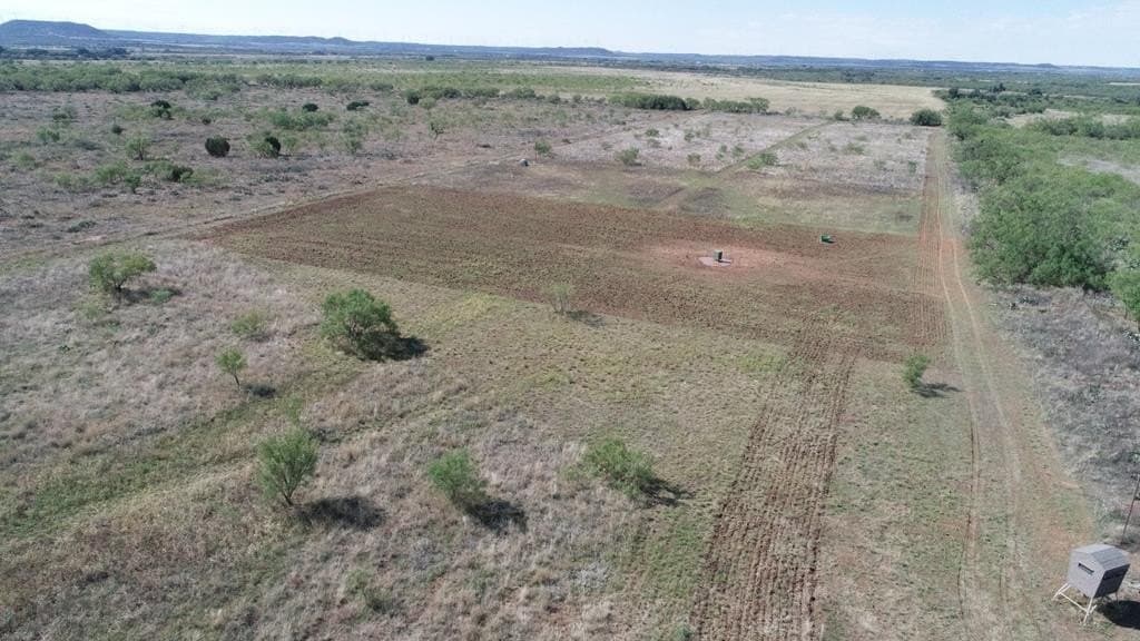 20.05 acres in Taylor County - photo 14