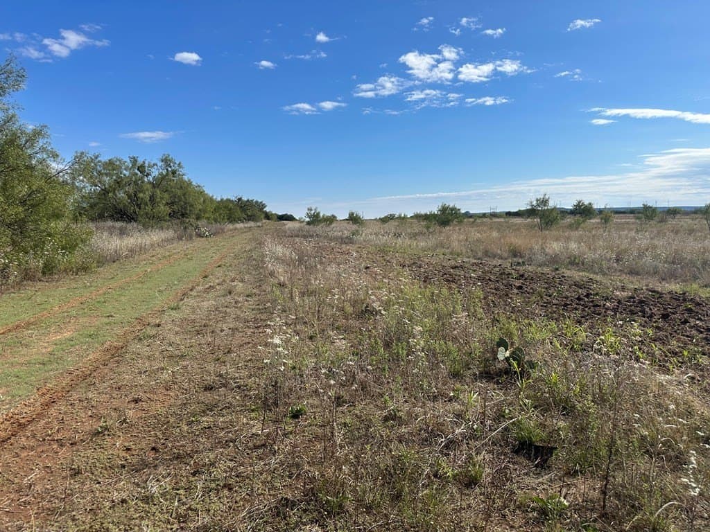 20.05 acres in Taylor County - photo 7