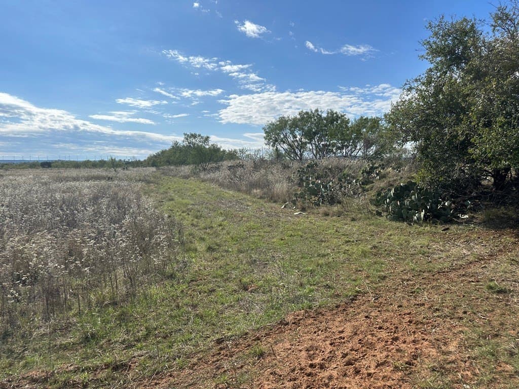20.05 acres in Taylor County - photo 12