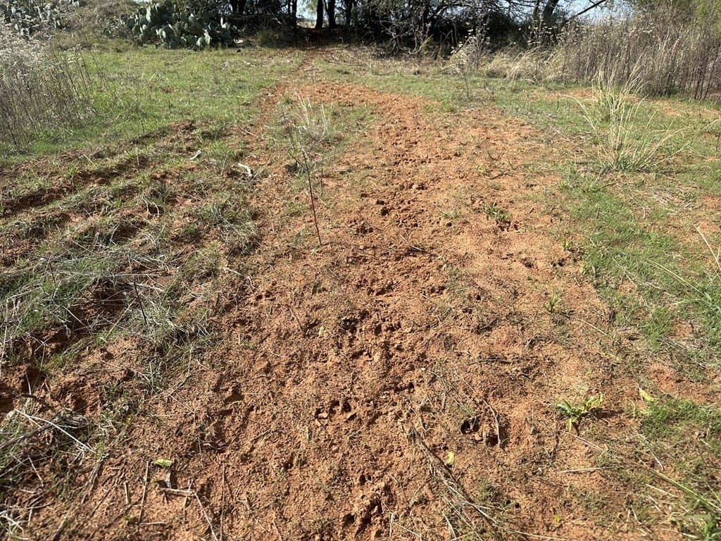 20.05 acres in Taylor County - photo 11