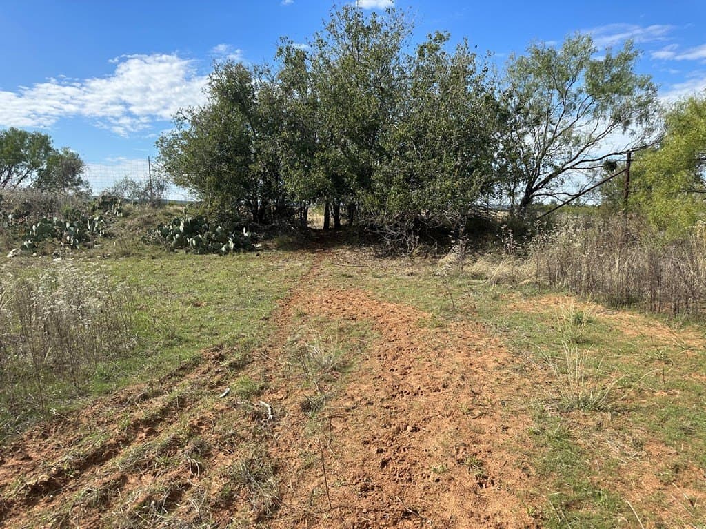 20.05 acres in Taylor County - photo 10