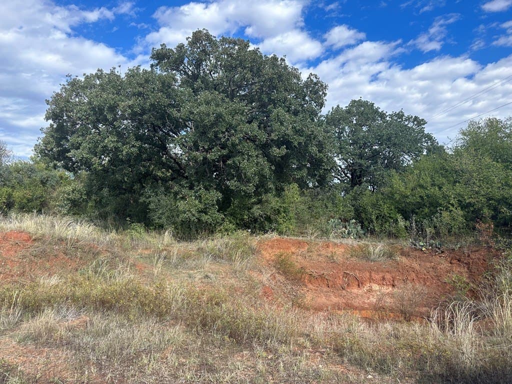 20.05 acres in Taylor County - photo 4