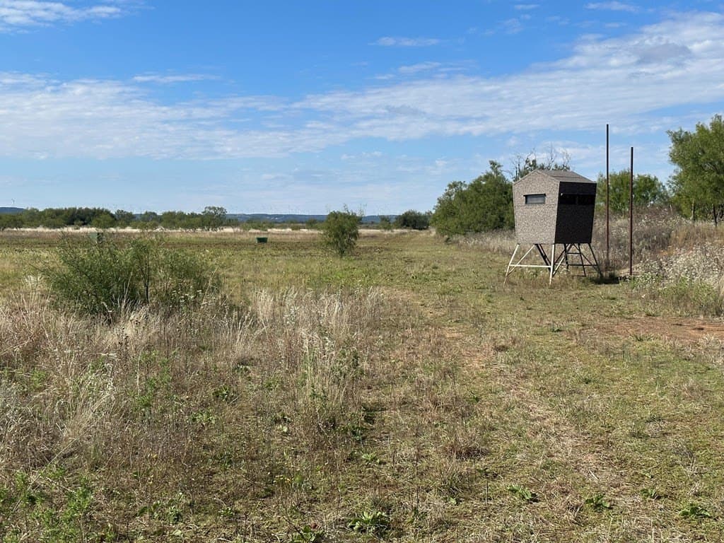 20.05 acres in Taylor County - photo 9