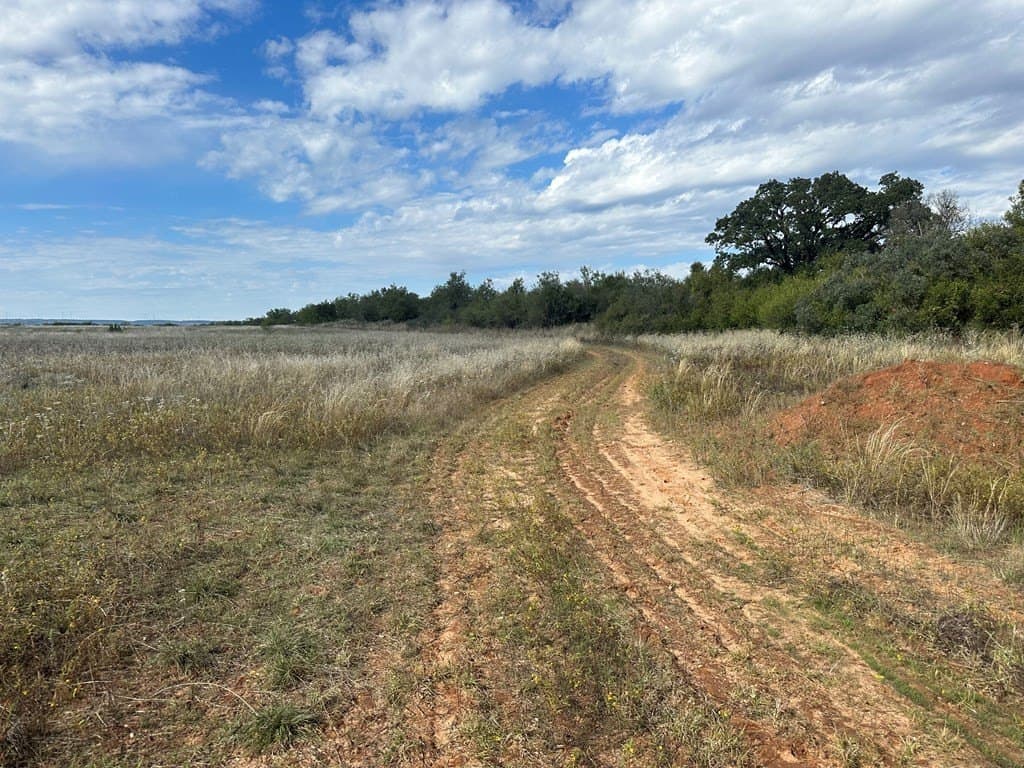 20.05 acres in Taylor County - photo 5