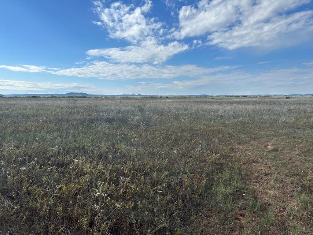20.05 acres in Taylor County - photo 3