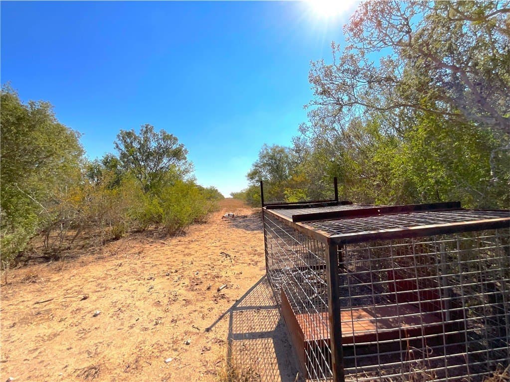 25.45 acres in Jim Wells County - photo 16