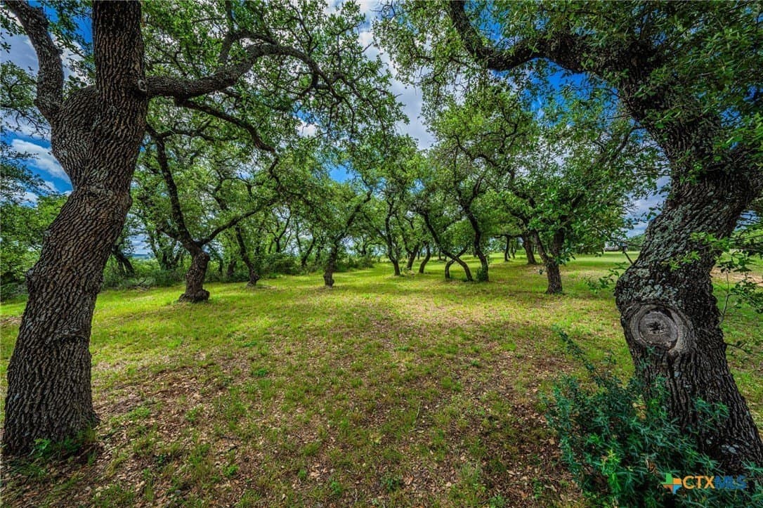 177 acres in Blanco County - photo 42
