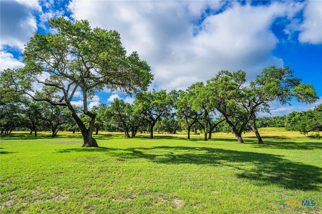 177 acres in Blanco County - photo 38