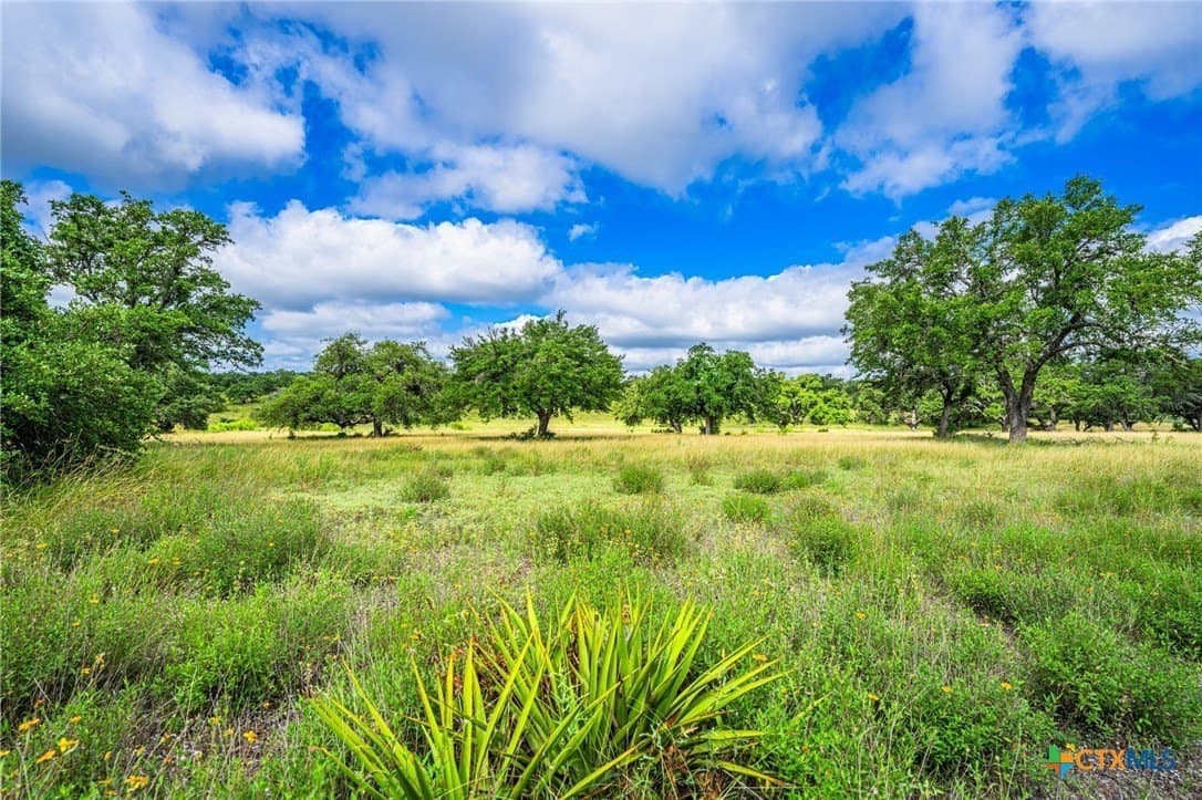 177 acres in Blanco County - photo 44
