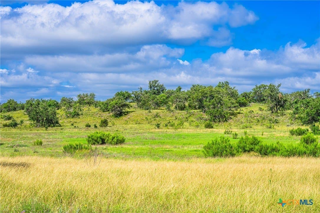 177 acres in Blanco County - photo 43