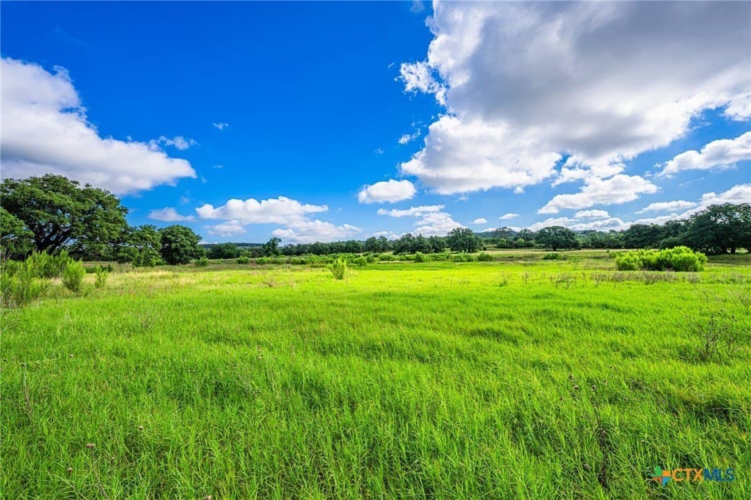 177 acres in Blanco County - photo 37