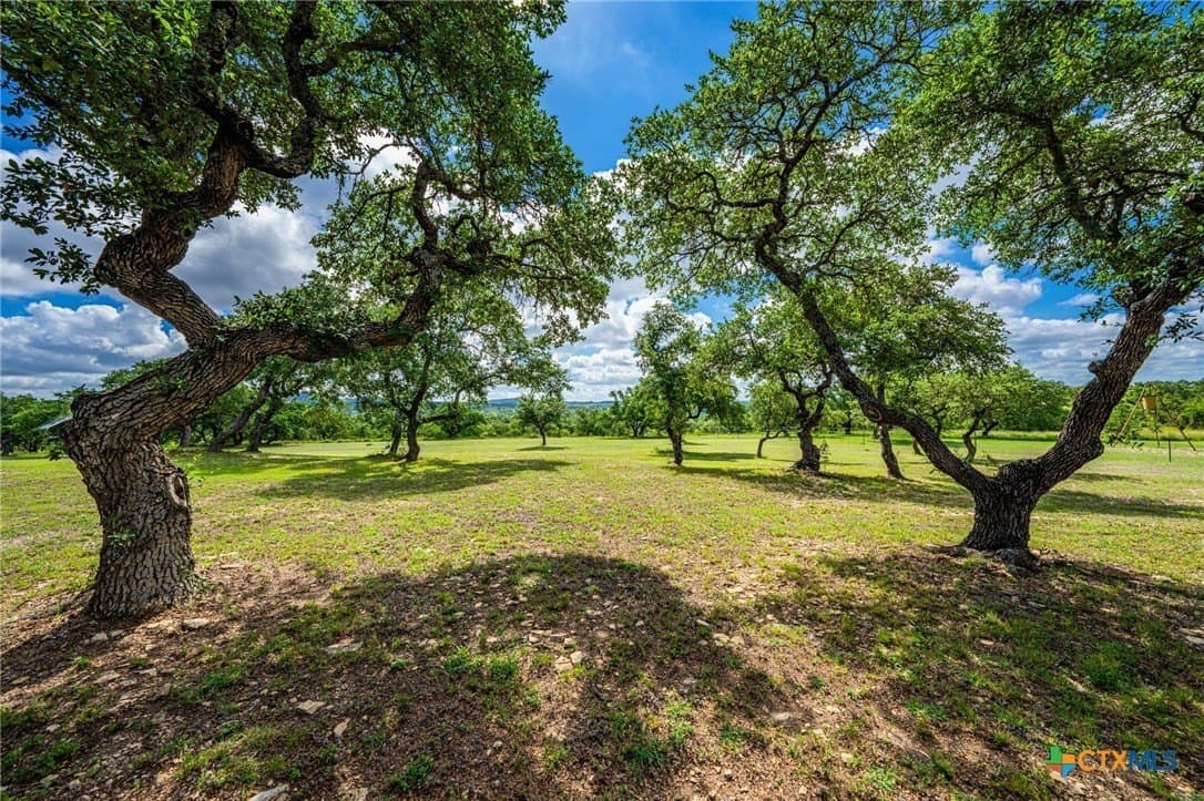 177 acres in Blanco County - photo 41