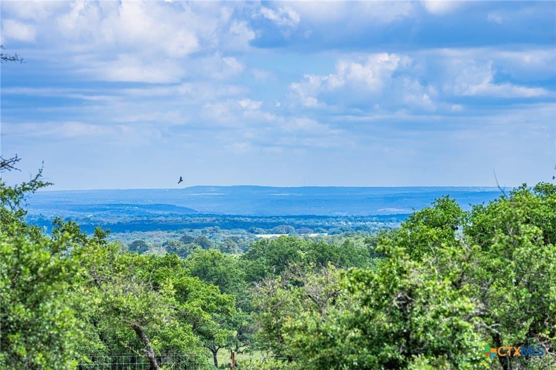 177 acres in Blanco County - photo 32