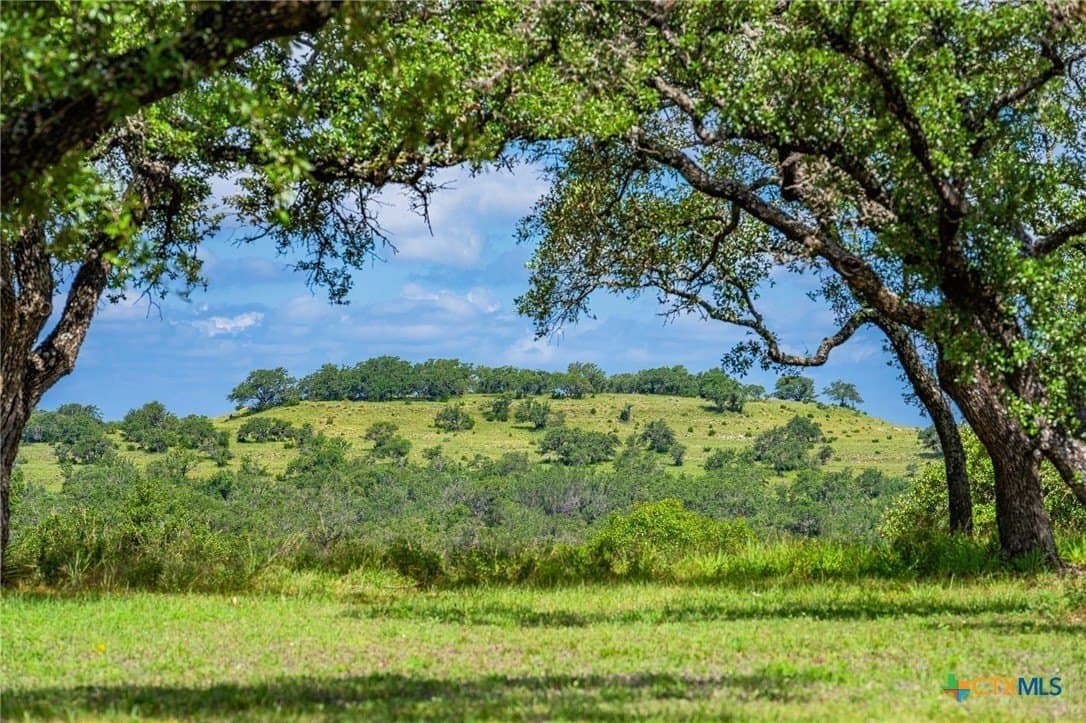 177 acres in Blanco County - photo 31