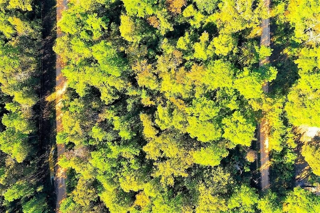 0.29 acres in Polk County - photo 10