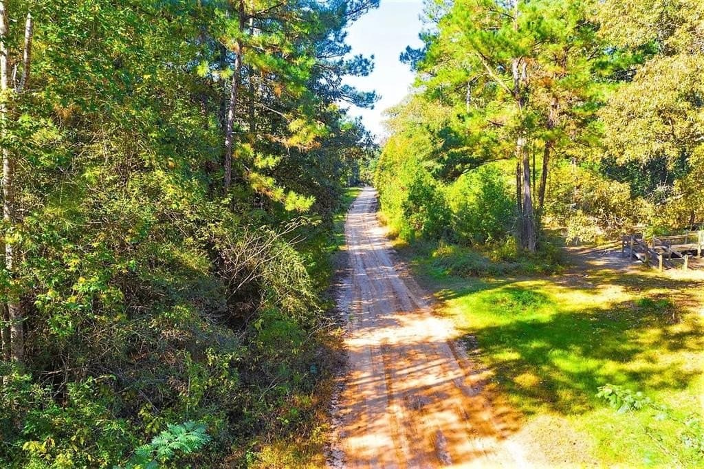 0.29 acres in Polk County - photo 20