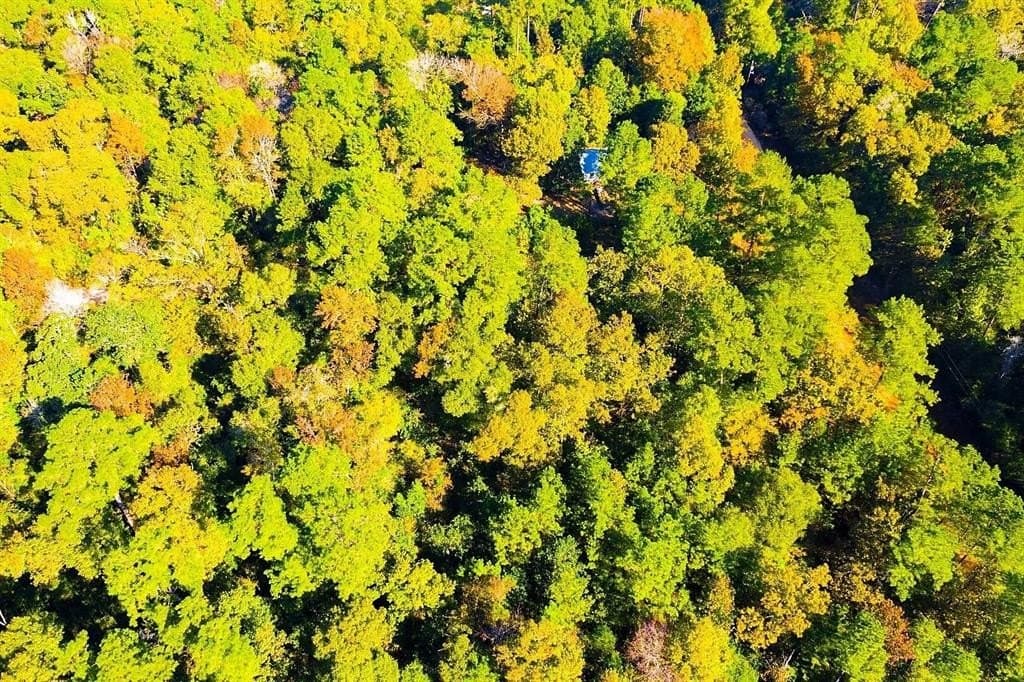 0.29 acres in Polk County - photo 7
