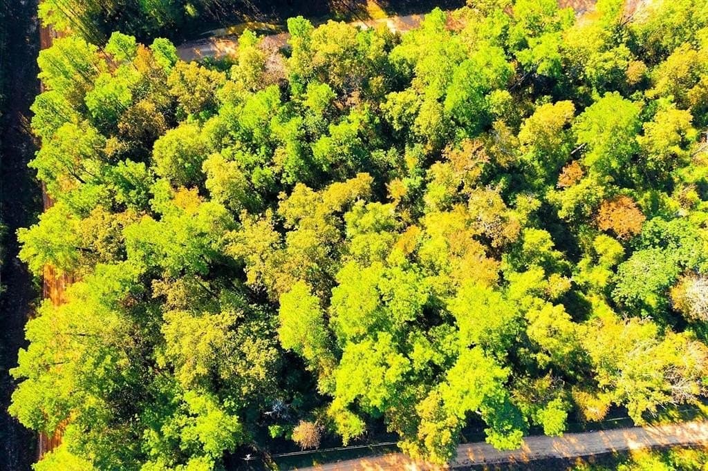 0.29 acres in Polk County - photo 15