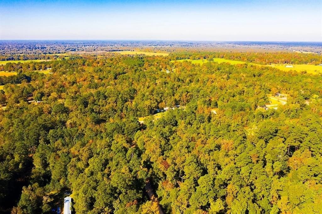 0.29 acres in Polk County - photo 13