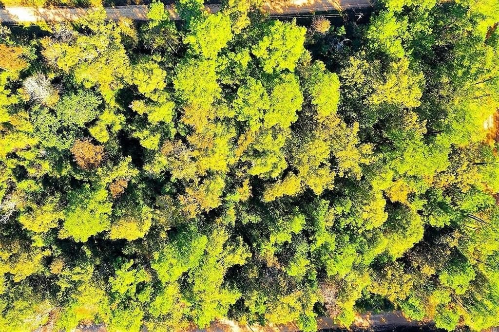 0.29 acres in Polk County - photo 11