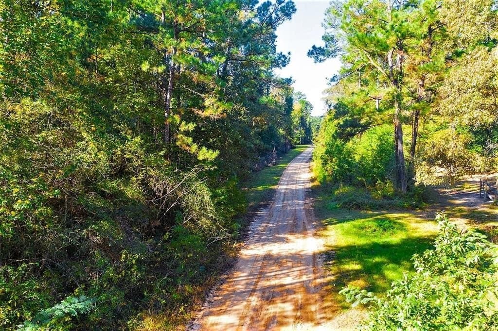 0.29 acres in Polk County - photo 23