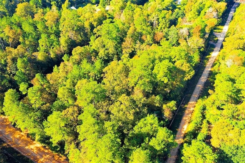 0.29 acres in Polk County - photo 9