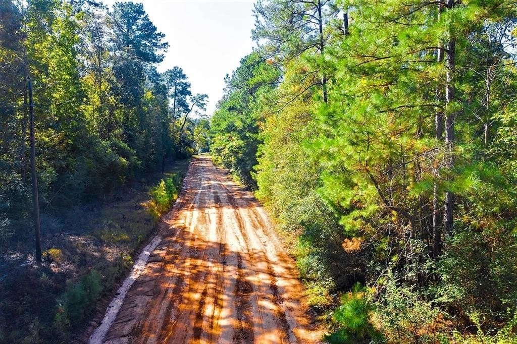0.29 acres in Polk County - photo 24