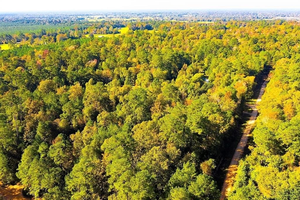 0.29 acres in Polk County - photo 16
