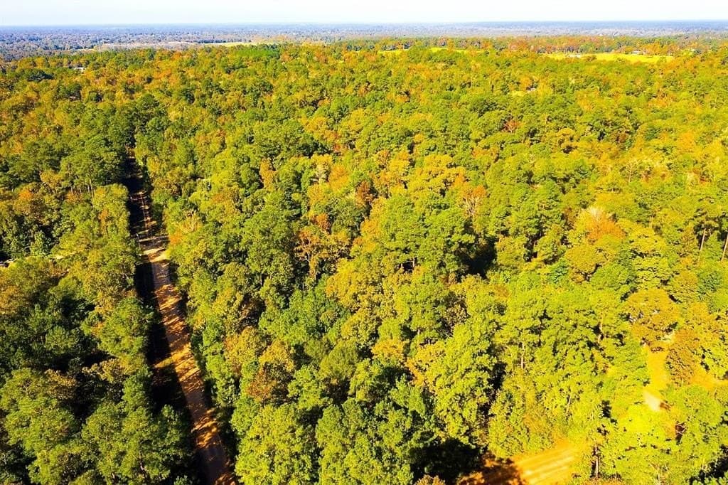 0.29 acres in Polk County - photo 17