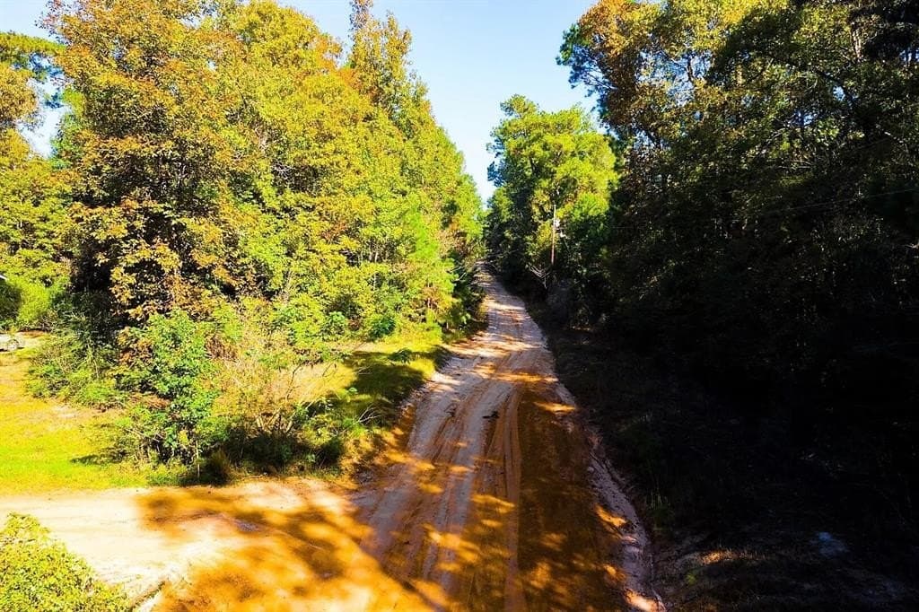 0.29 acres in Polk County - photo 19