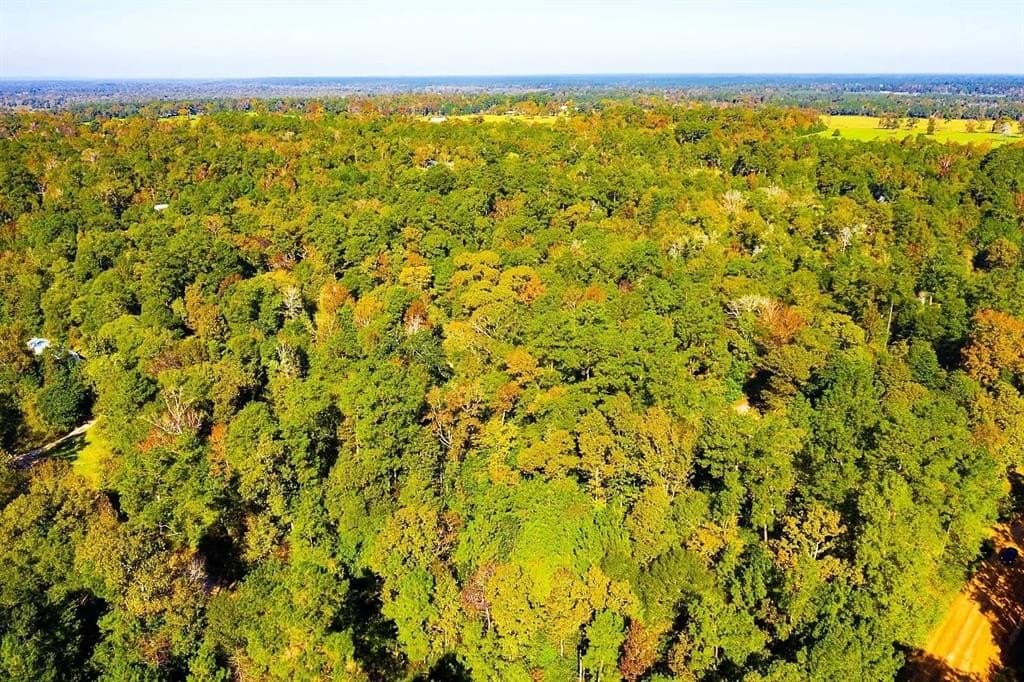 0.29 acres in Polk County - photo 18