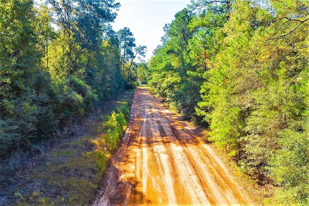 0.29 acres in Polk County - photo 21