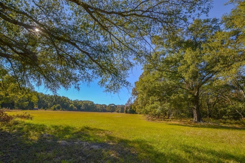 100 acres in Van Zandt County - photo 5