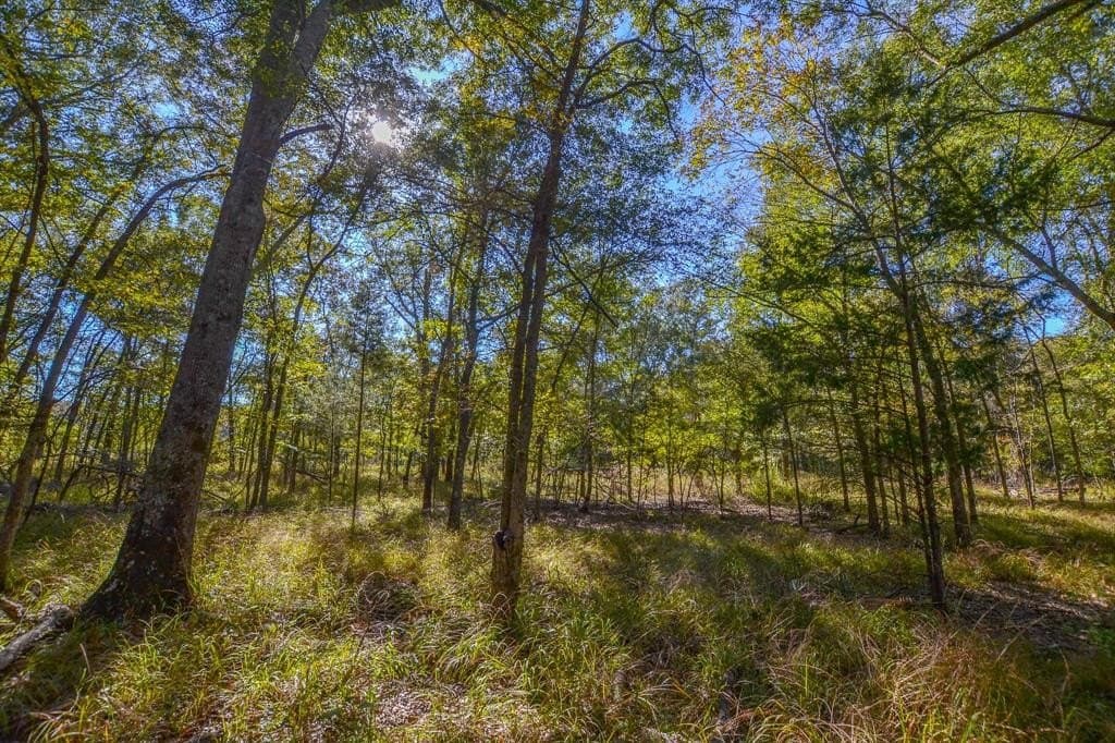 100 acres in Van Zandt County - photo 10