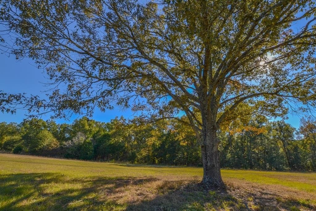 100 acres in Van Zandt County - photo 38
