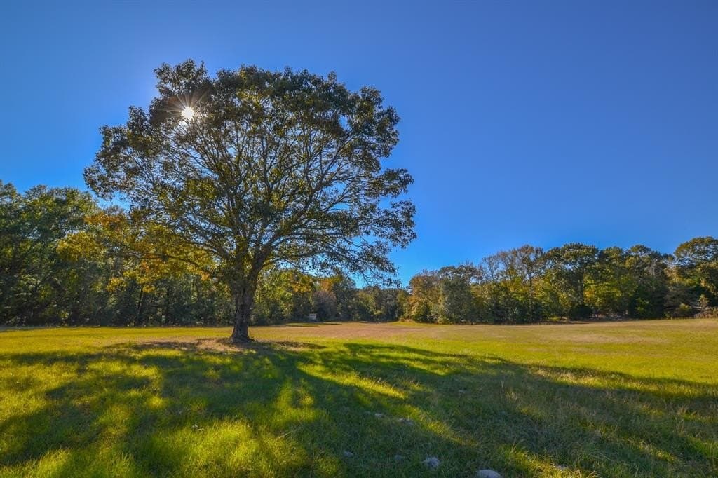 100 acres in Van Zandt County - photo 2