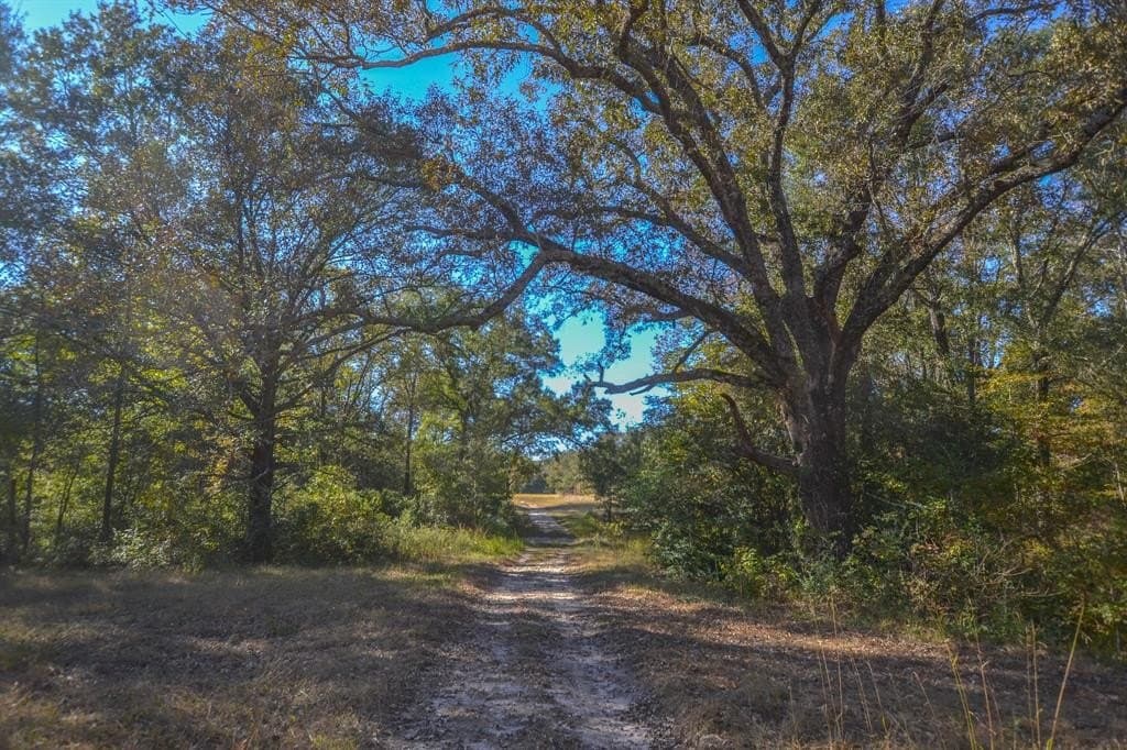 100 acres in Van Zandt County - photo 6
