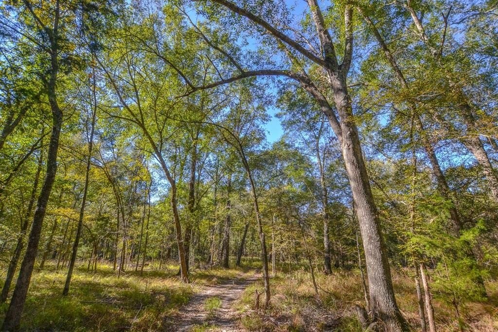 100 acres in Van Zandt County - photo 9