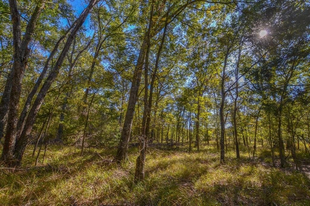 100 acres in Van Zandt County - photo 8