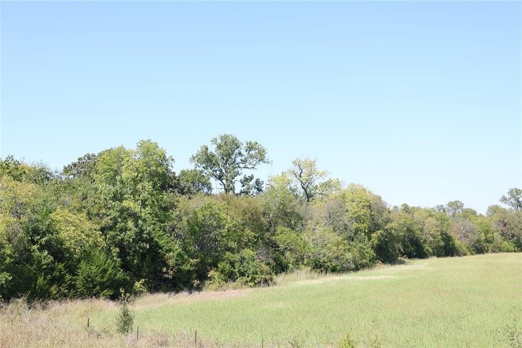 5 acres in Fannin County - photo 3
