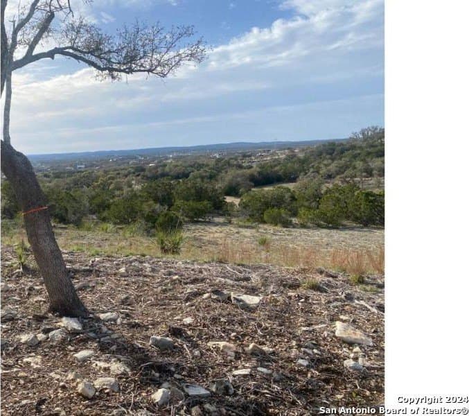 1.01 acres in Comal County - photo 4