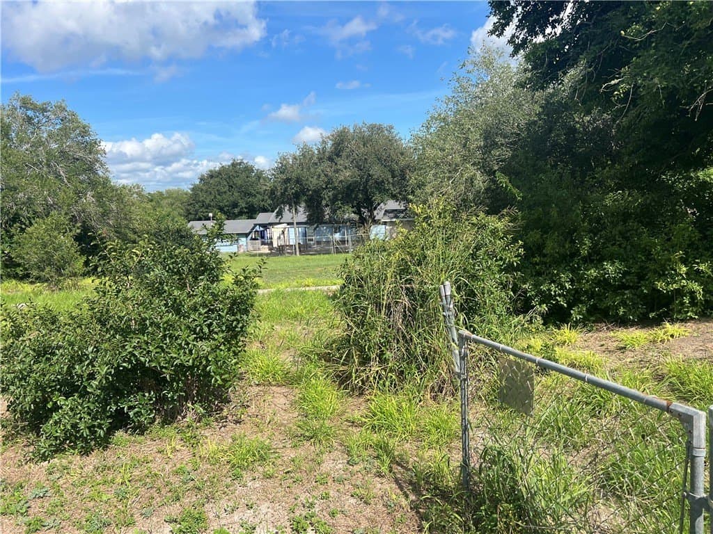 0.25 acres in San Patricio County - photo 2