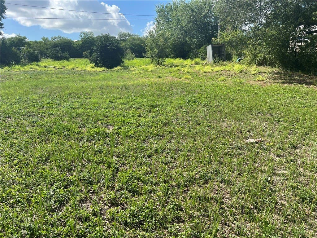 0.25 acres in San Patricio County - photo 8