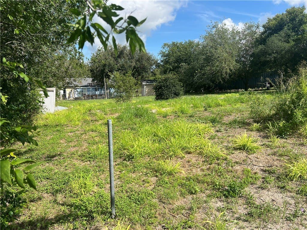 0.25 acres in San Patricio County - photo 3