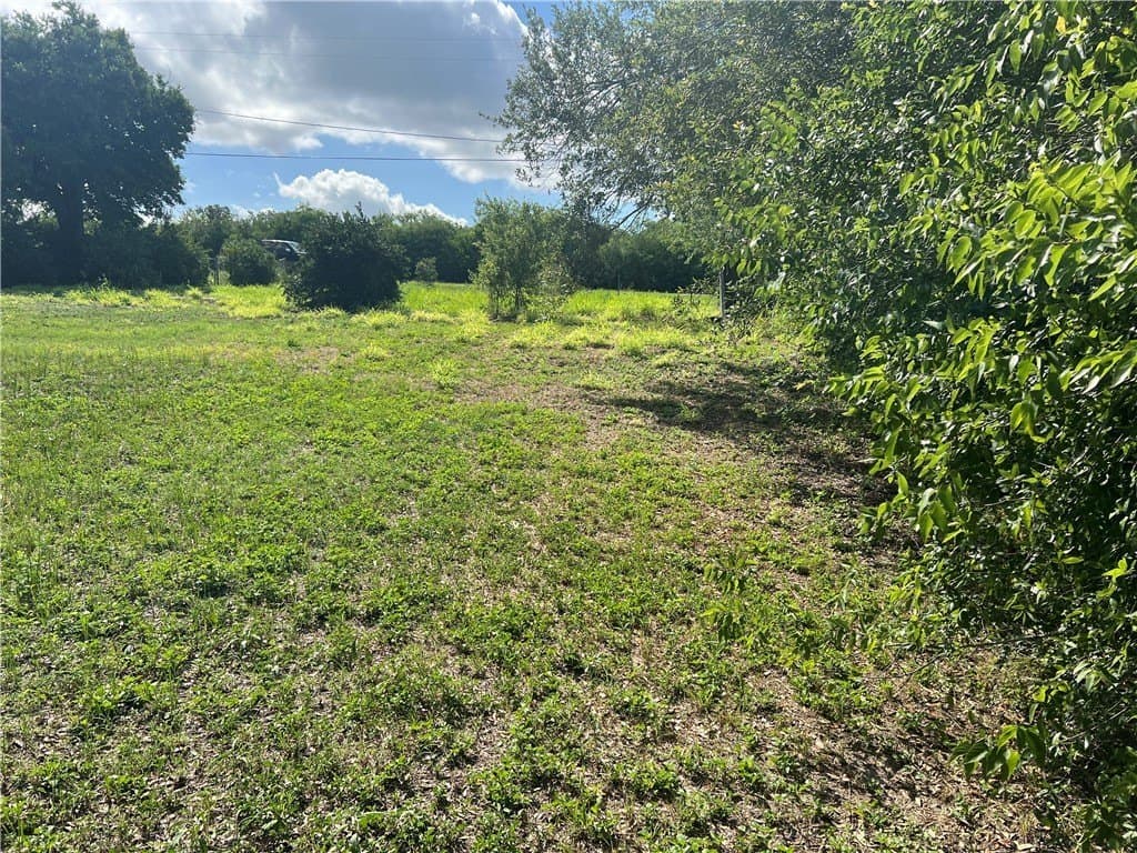 0.25 acres in San Patricio County - photo 7