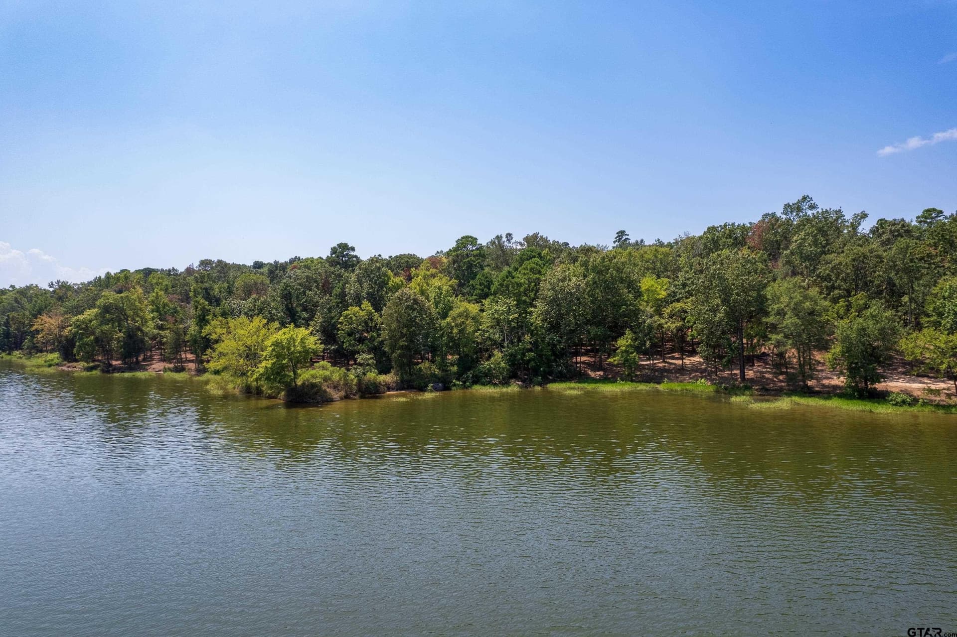 1.56 acres in Camp County - photo 7