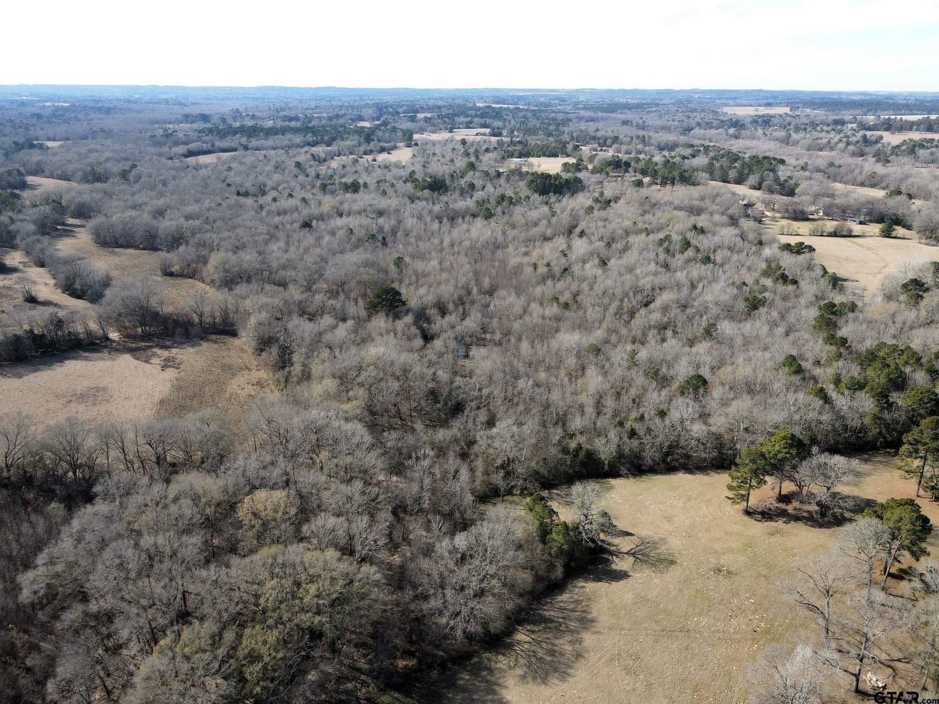 51.4 acres in Cherokee County - photo 10