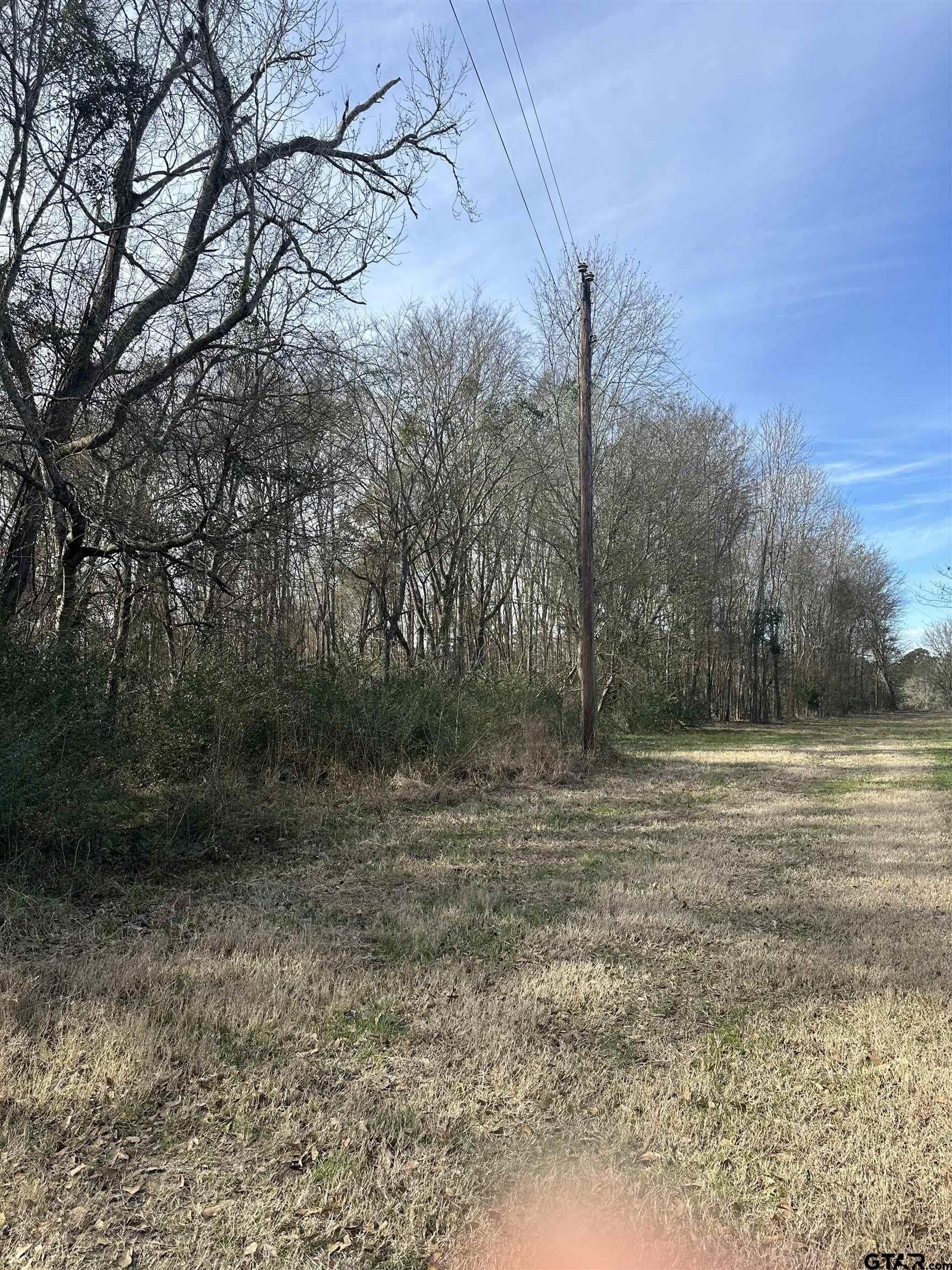 51.4 acres in Cherokee County - photo 12