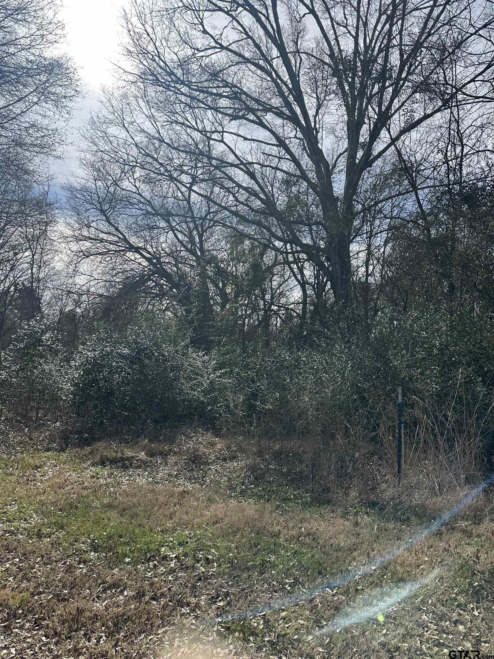 51.4 acres in Cherokee County - photo 11