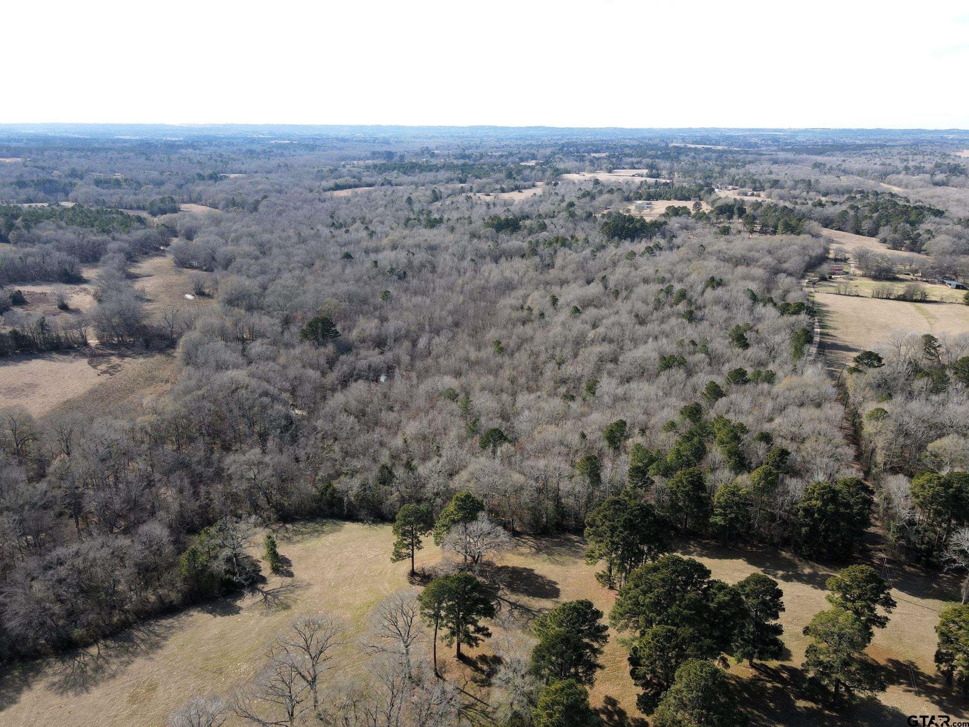 51.4 acres in Cherokee County - photo 9